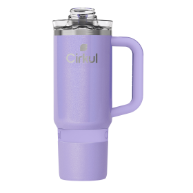 Travel Wall Insulated Stainless Steel Tumbler with Handle